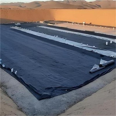 Xitoyda eng yaxshi 5 HDPE geomembran yetkazib beruvchilari